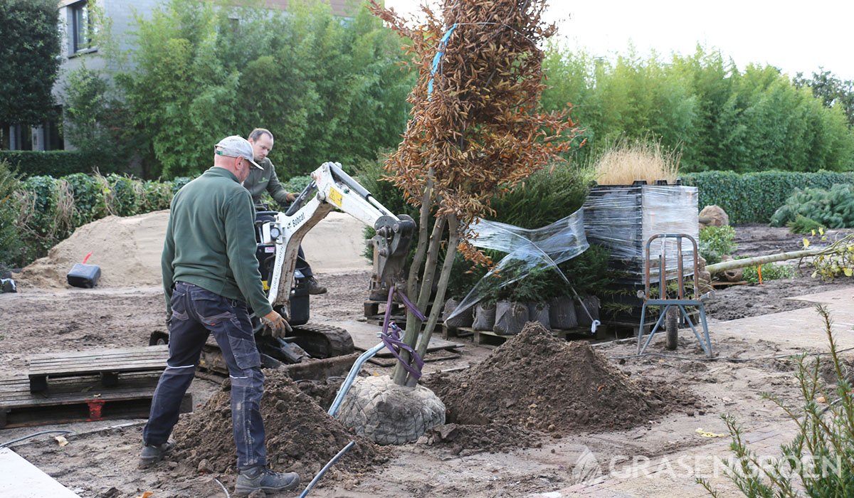 Diensttuinplanten9 • Gras en Groen Winkel