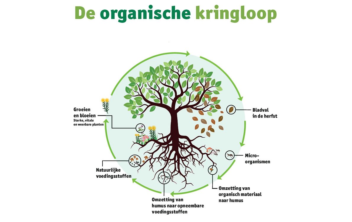 Gazonbemesten1 • Gras en Groen Winkel