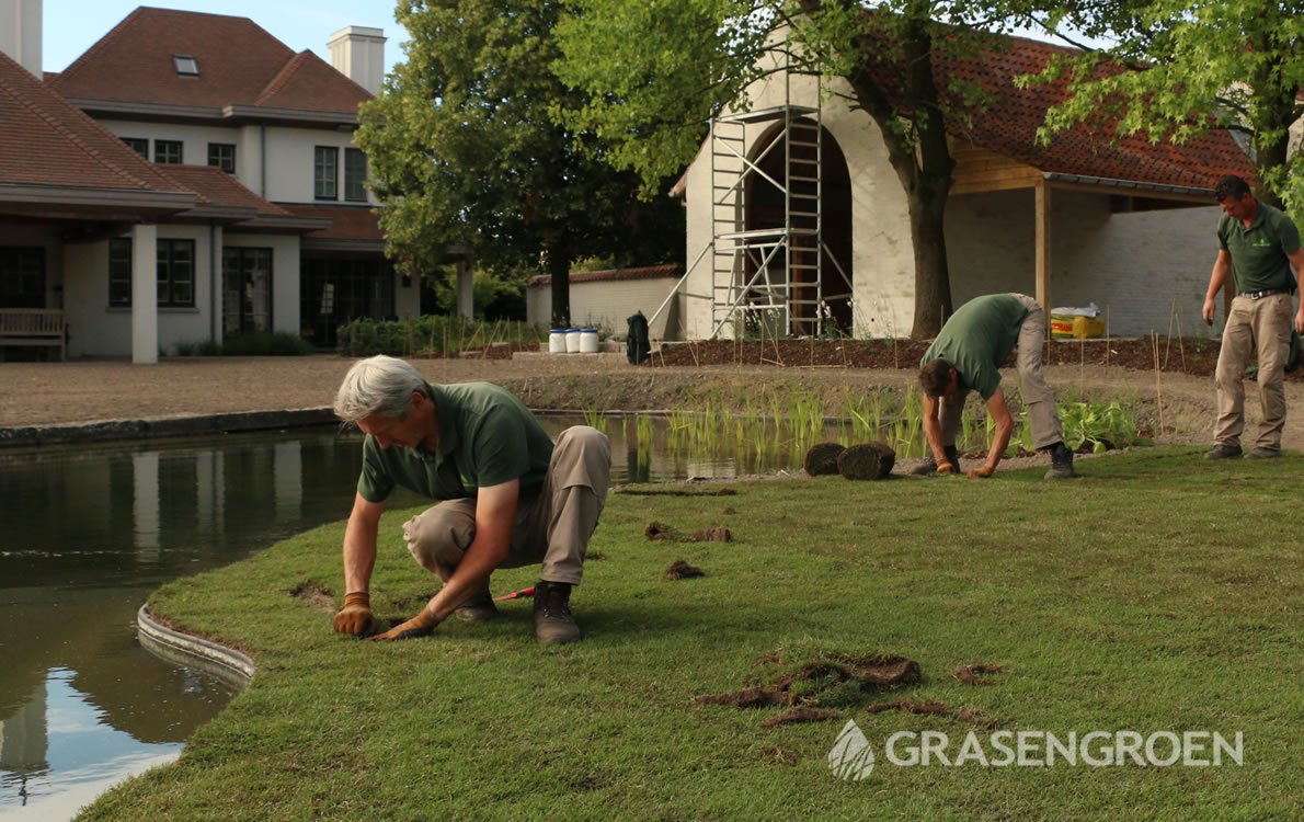 Graszodenleggen2 • Gras en Groen Winkel