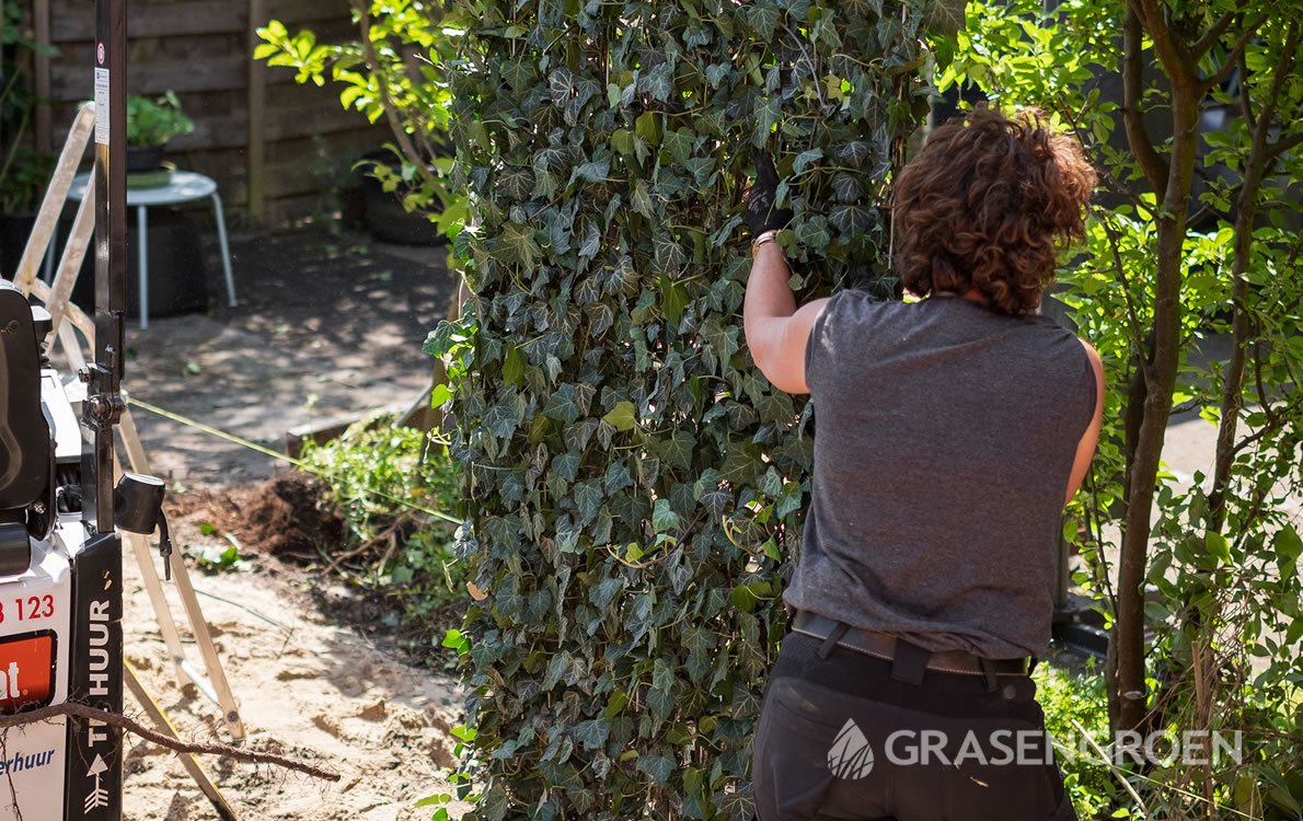 Zelfkantenklaarhaagaanplanten2 • Gras en Groen Winkel