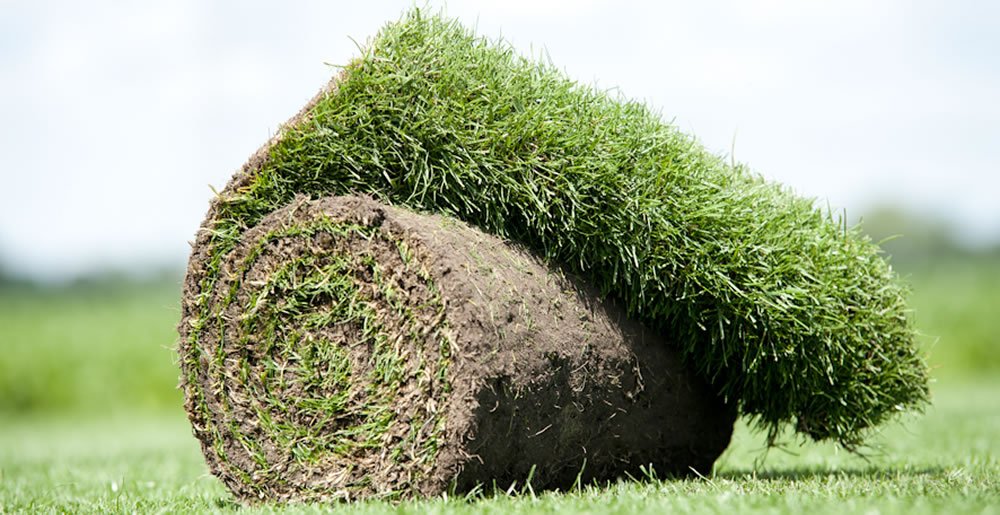 Graszoden • Gras en Groen Winkel