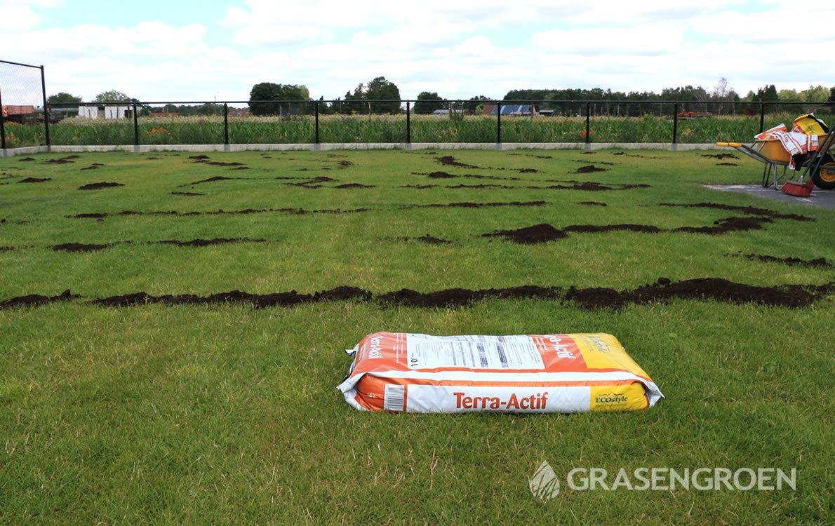 Herstelgazonvoorjaar6 • Gras en Groen Winkel