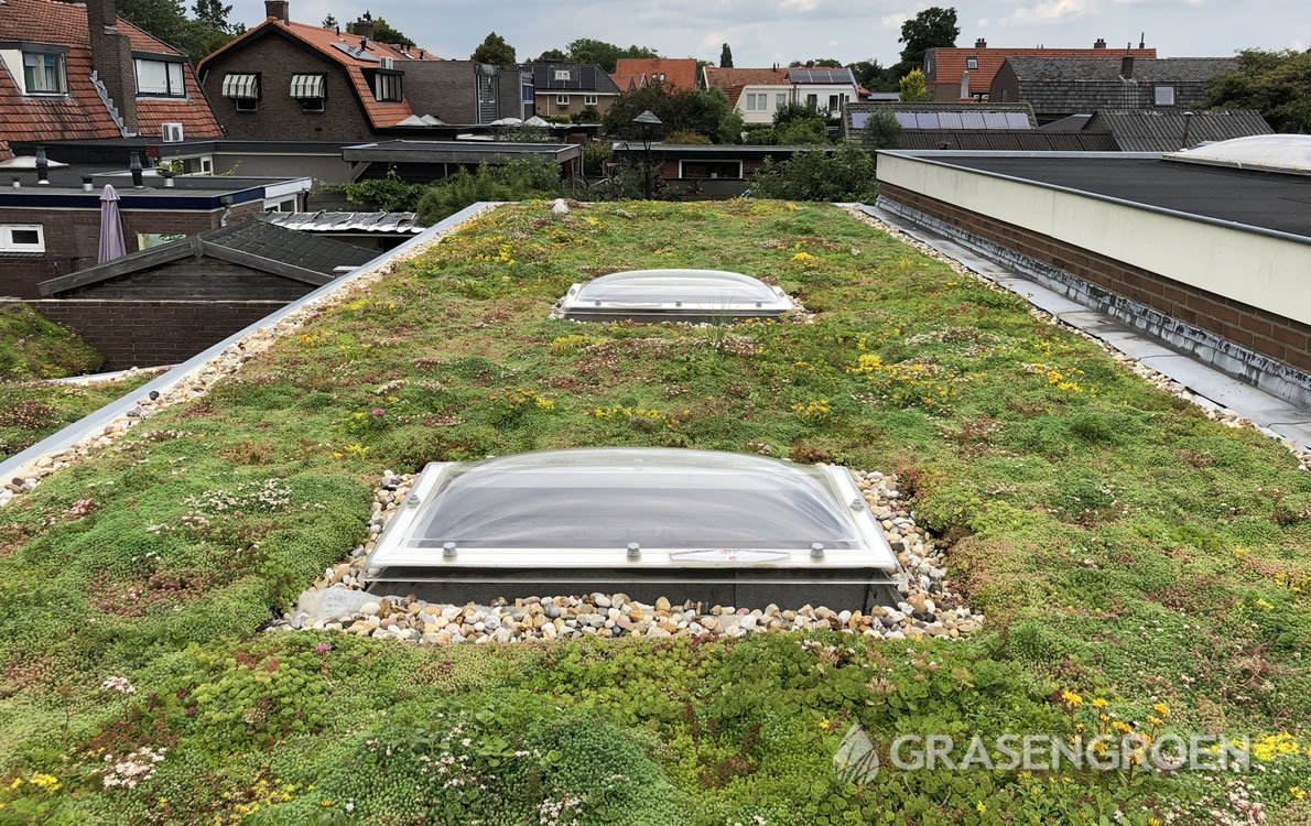 Zelfgroendakaanleggen2 • Gras en Groen Winkel