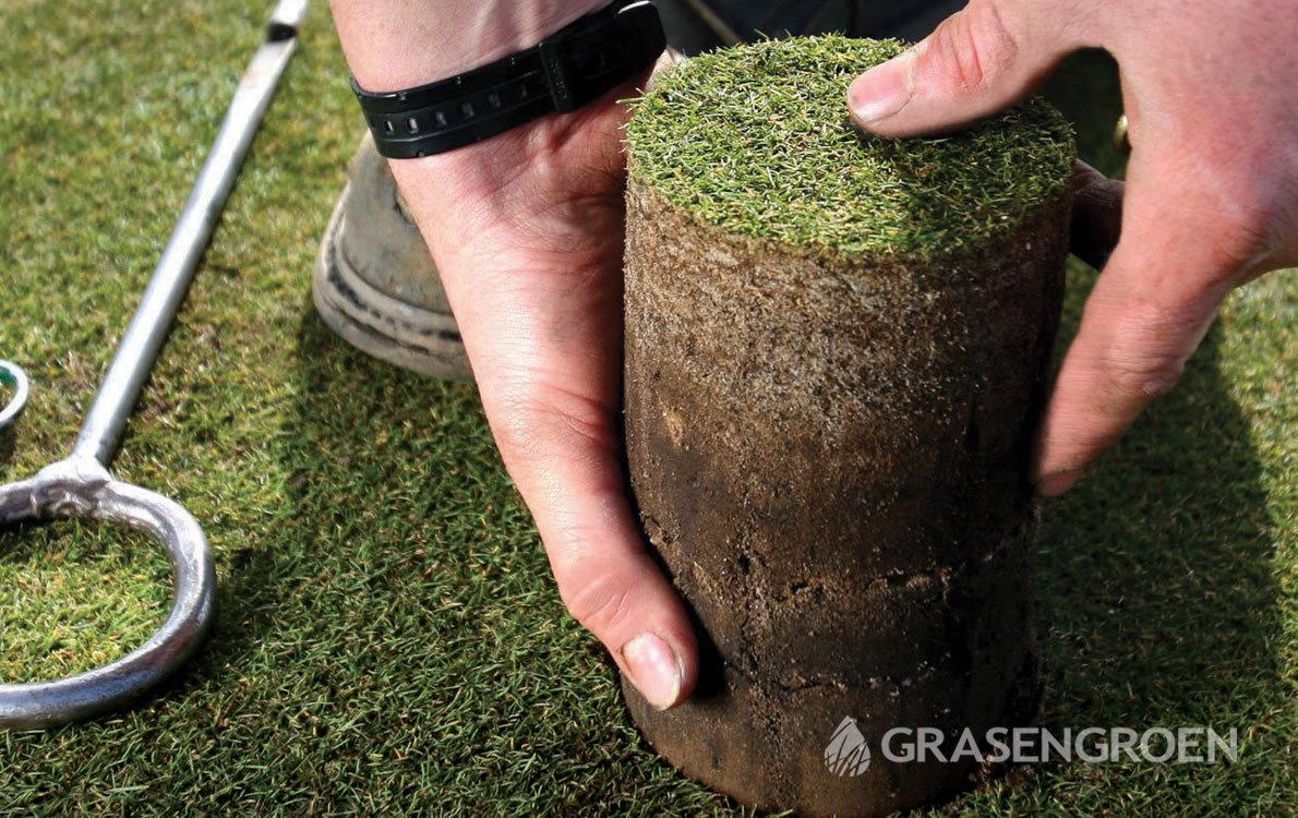 Oorzaakrooddraad • Gras en Groen Winkel