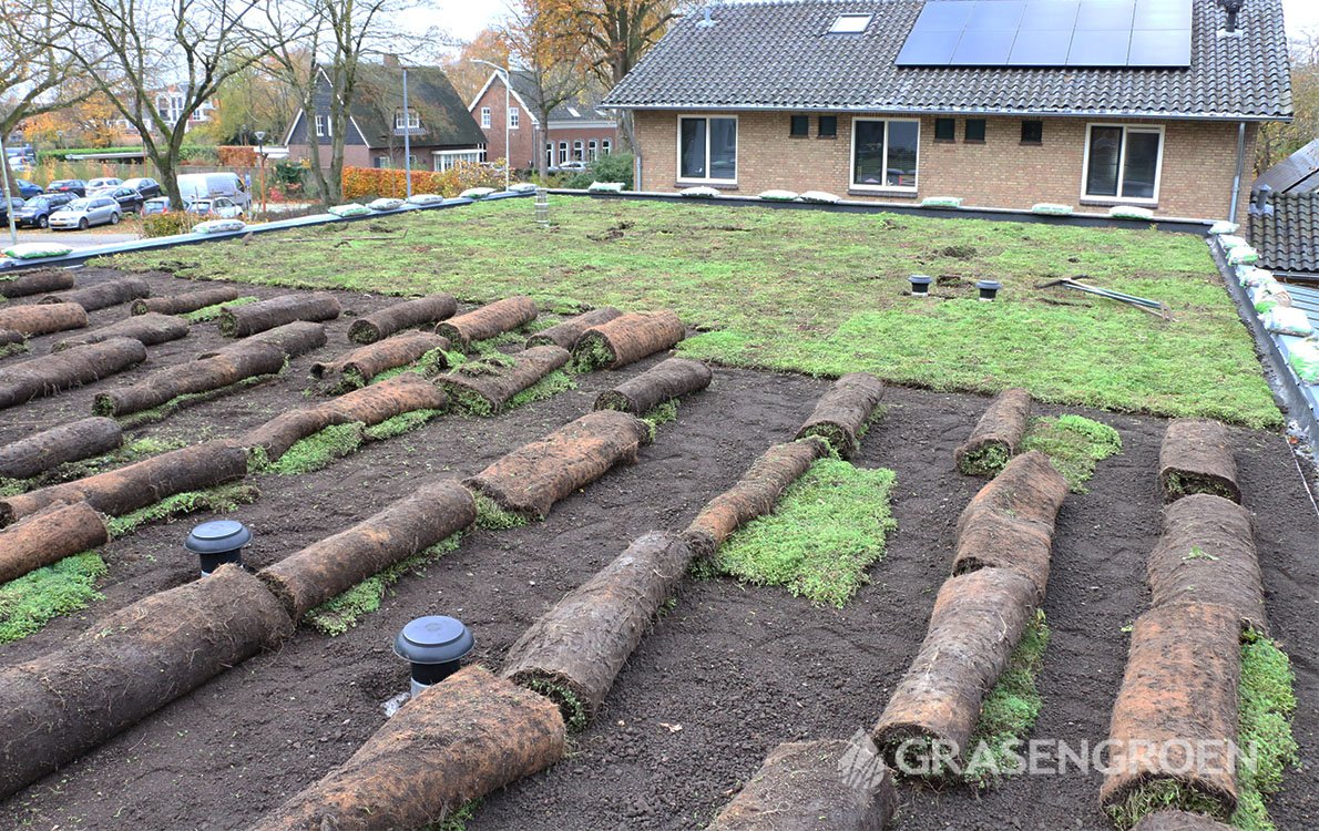 Groendak4 • Gras en Groen Winkel