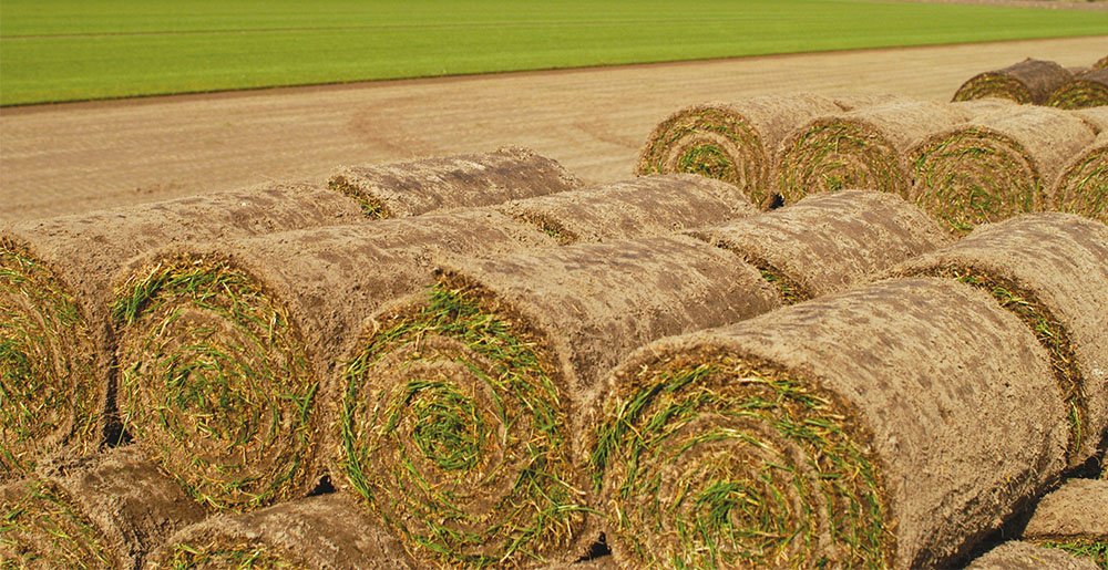 Graszoden • Gras en Groen Winkel