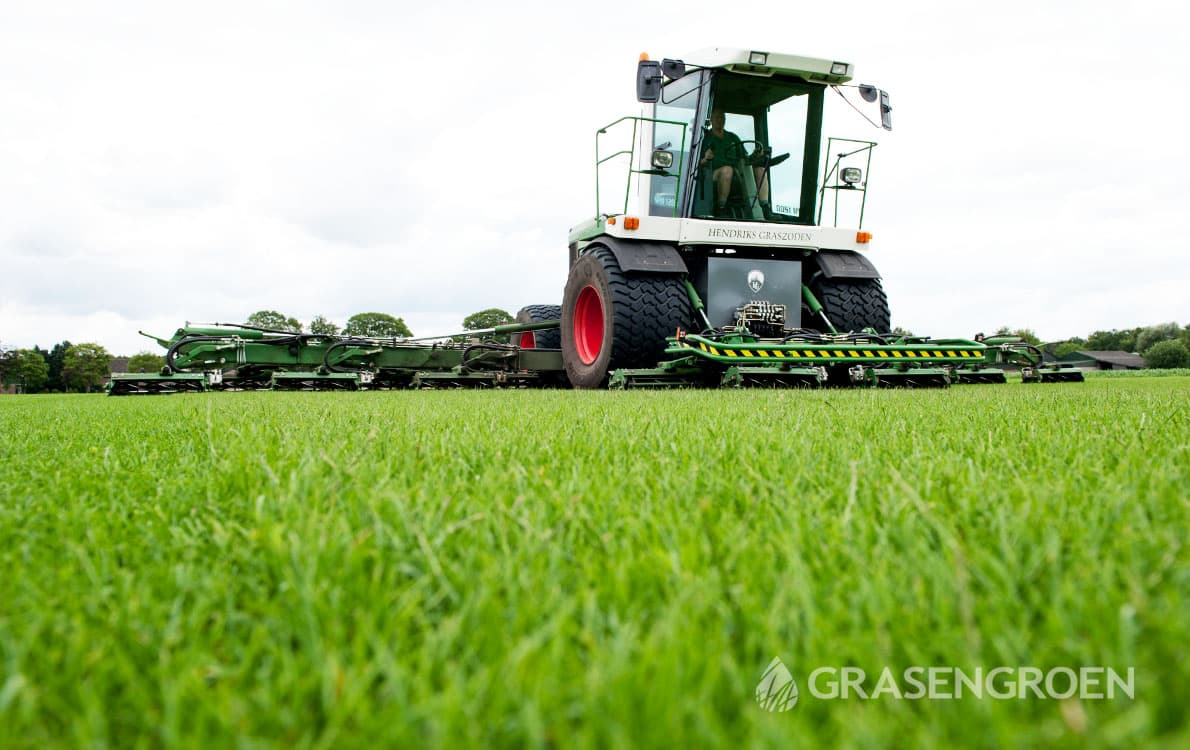 Graszoden2 • Gras en Groen Winkel