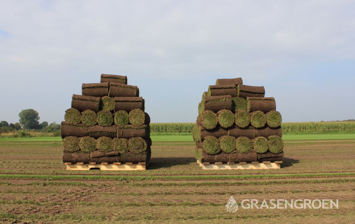 Graszoden5 • Gras en Groen Winkel